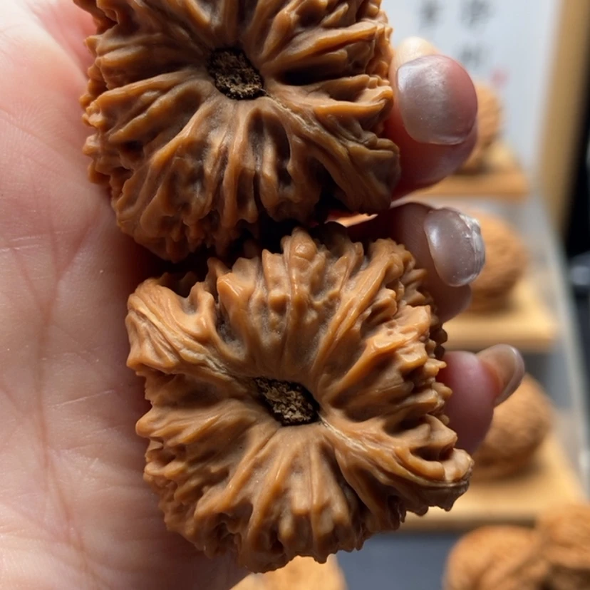 【闪购商品】核桃核雕子*8号窝头拉丝酒杯底