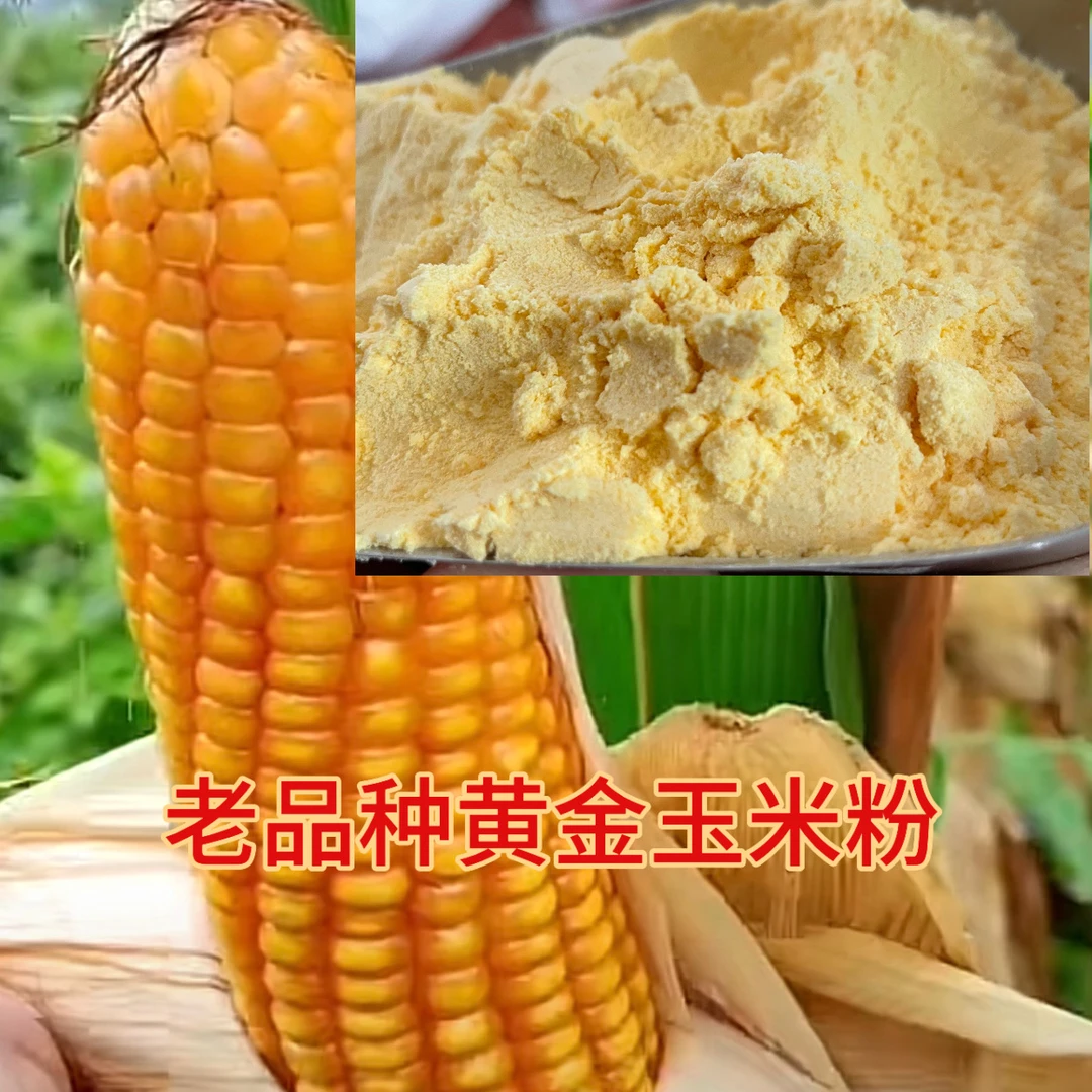 老品种玉米粉2斤深山农村玉米粉细粉广西小块地不打药非转基因