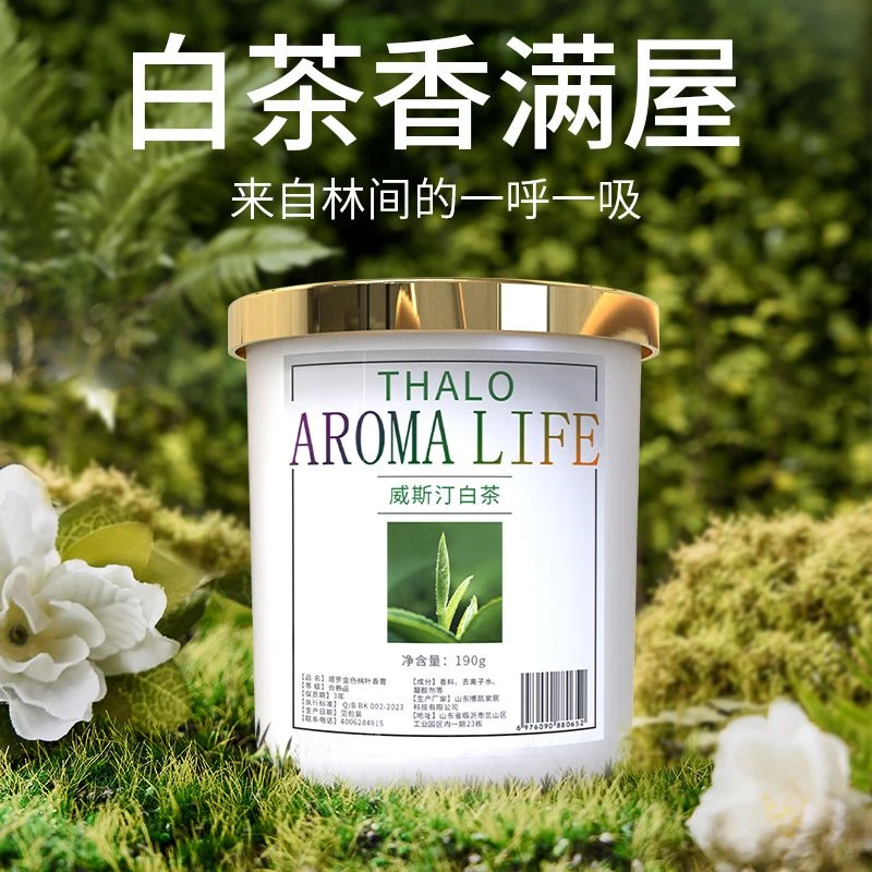 高级感固体香薰家用室内持久衣柜无火扩香膏卧室客厅化妆室除异味