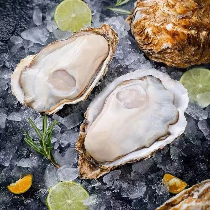 【主播推荐】生蚝鲜活海鲜原产地直发净7斤装冷链包邮