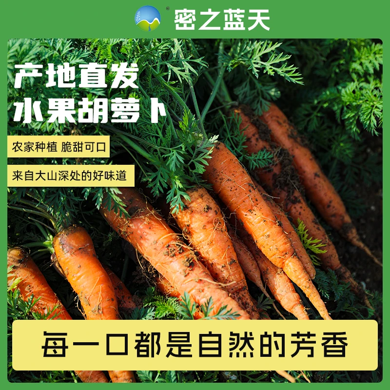 密之蓝天农家种植新鲜水果胡萝卜500g/1500g（带缨发货） 脆甜可口