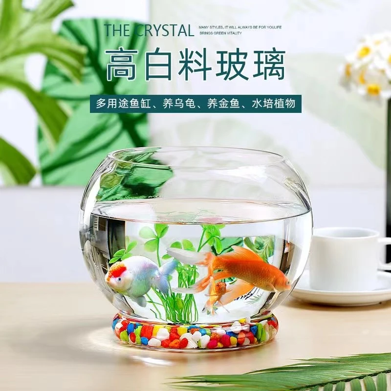 碧澜圆球款款圆形金鱼缸生态创意玻璃鱼缸金鱼缸水培缸花瓶特价