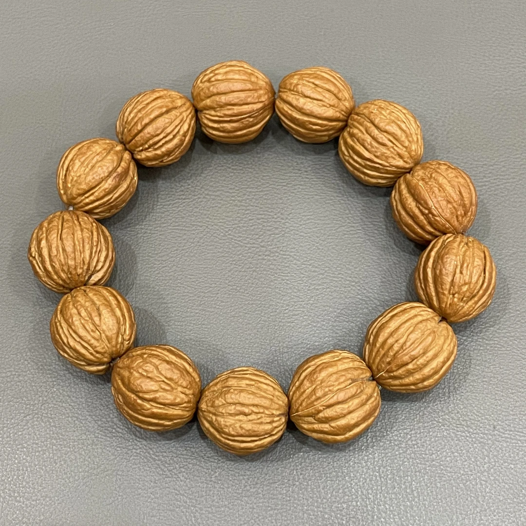 【A236】 凤羽猴头(带黑点)