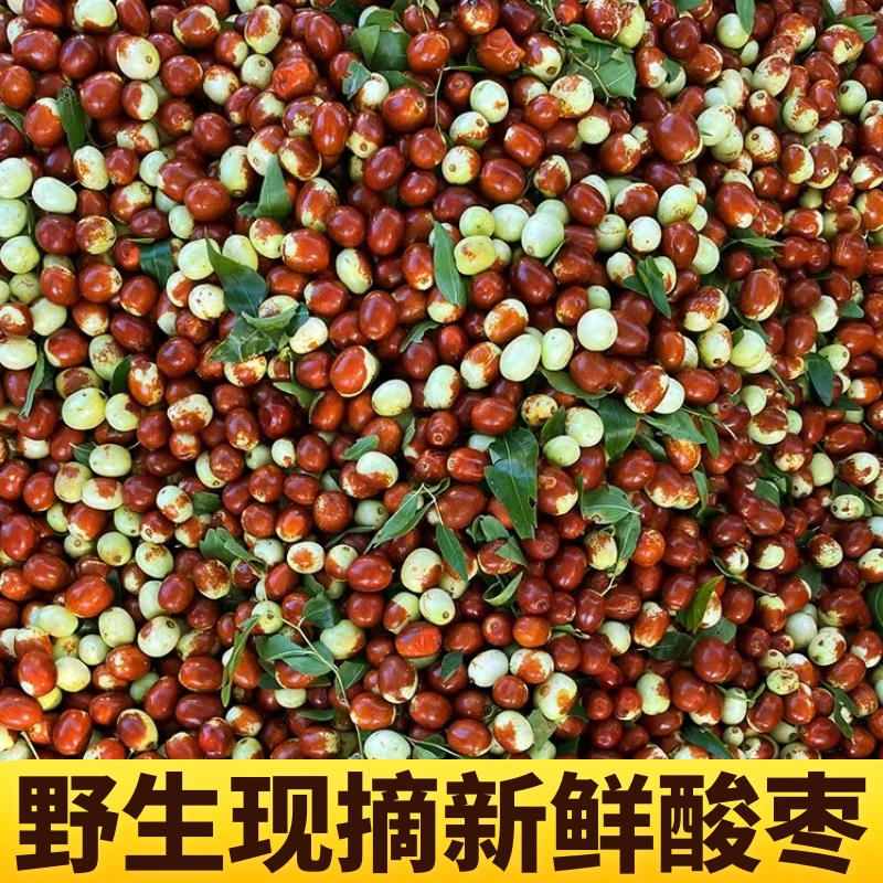 无品牌野生新鲜小酸枣山东农家现摘山枣子孕妇酸甜水果1/2/3斤