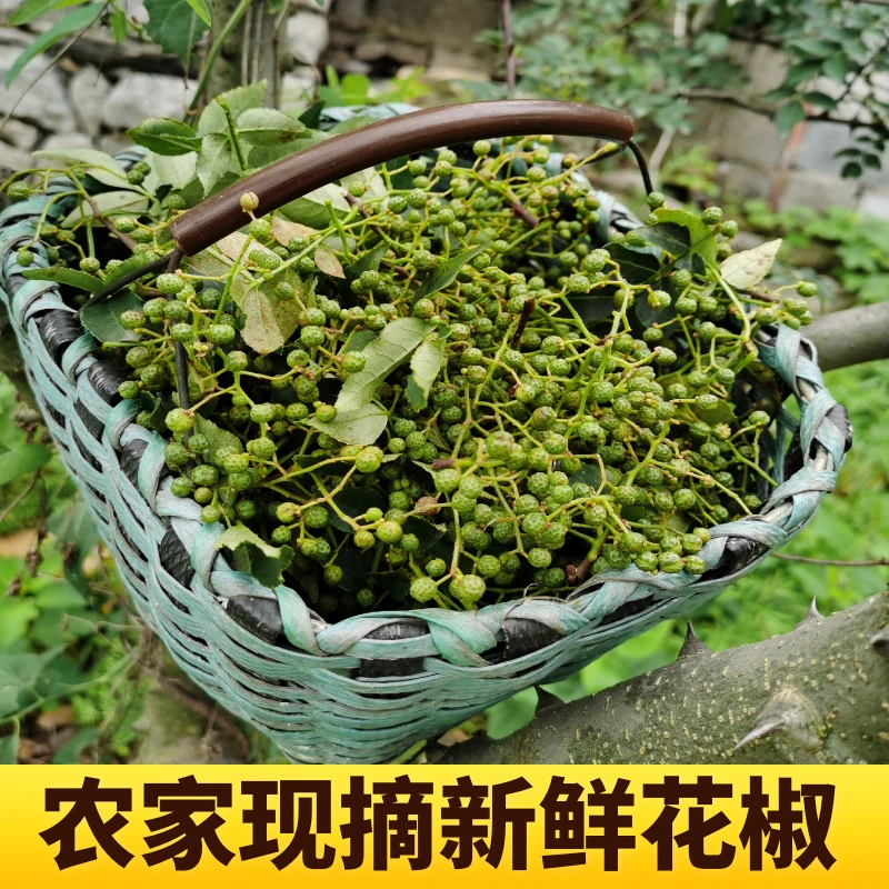 梦伴生25年现摘新鲜花椒青花椒带叶山东农家特产鲜花椒半斤1斤2斤