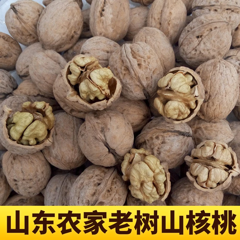 山东农家老树核桃山核桃自然晾晒原味干核桃