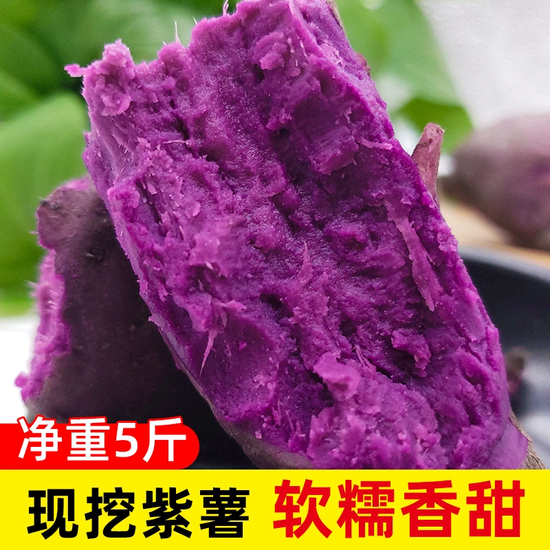 新鲜紫薯 农家红薯现挖番薯地瓜粉糯香甜5斤装