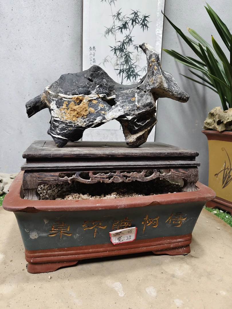 广西南太湖石，黑墨石