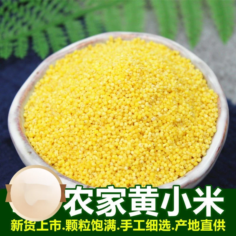 鲜丰仓食用黄小米新货农家小米粥小黄米宝宝米月子米杂粮粗粮食饱