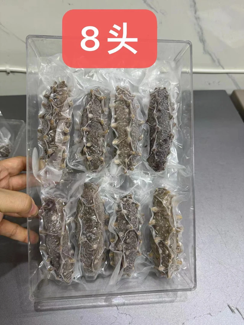 大连高刺海参 冷蒸锁鲜 口感劲道  450g