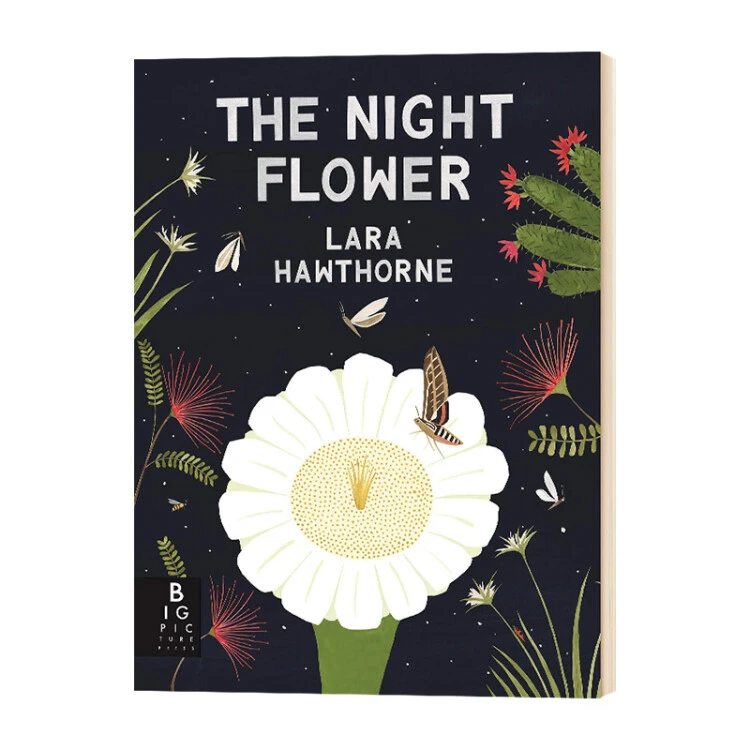 英文原版 The Night Flower 夜花 英文版儿童自然科普 英语绘本