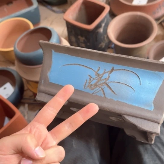 红陶20CM（含）-50CM（不含）