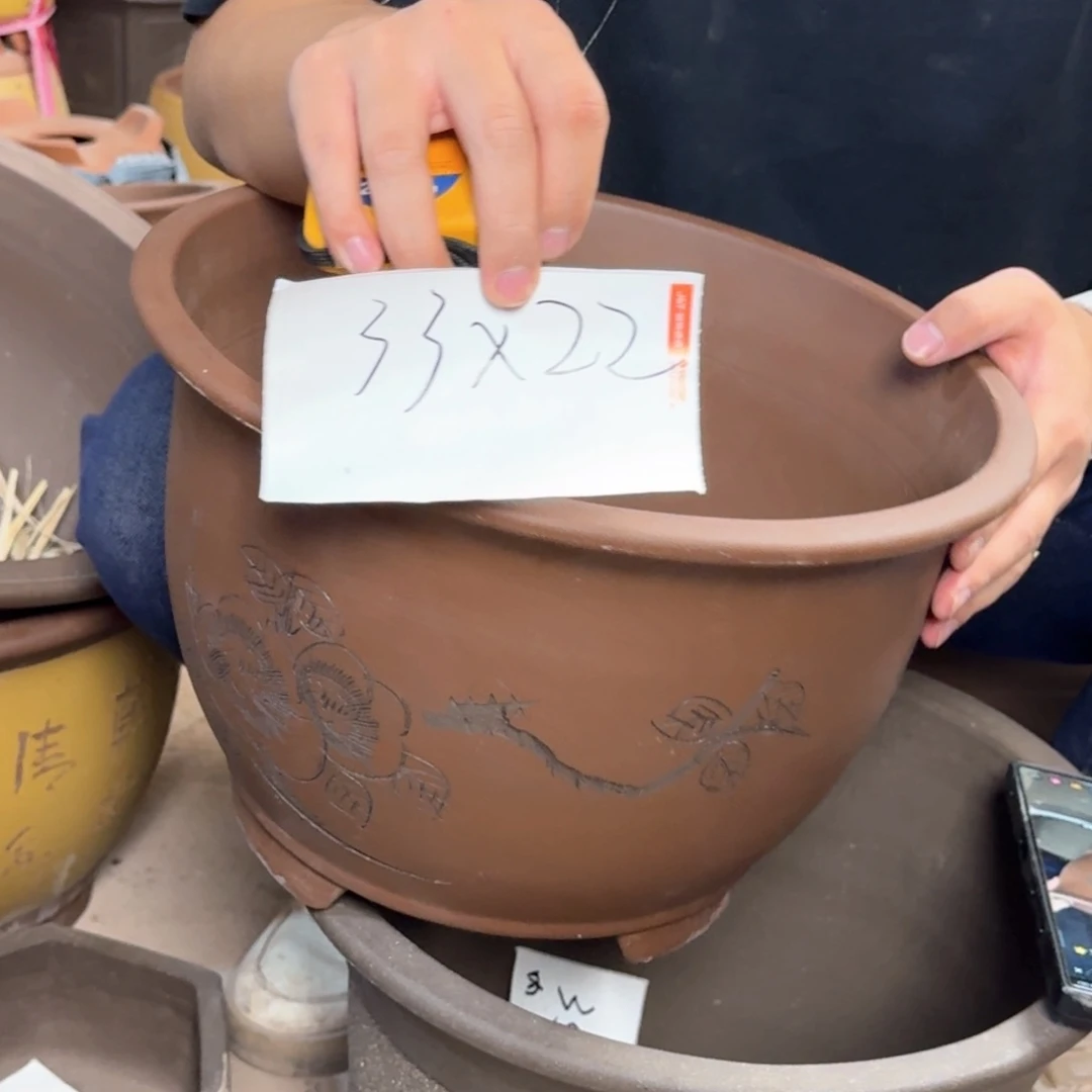 紫砂20CM（含）-50CM（不含）