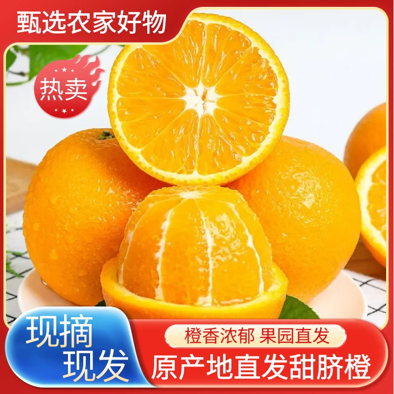 【热卖推荐】新鲜脐橙3-10斤批发古田产地直发应季水果薄皮橙子包邮