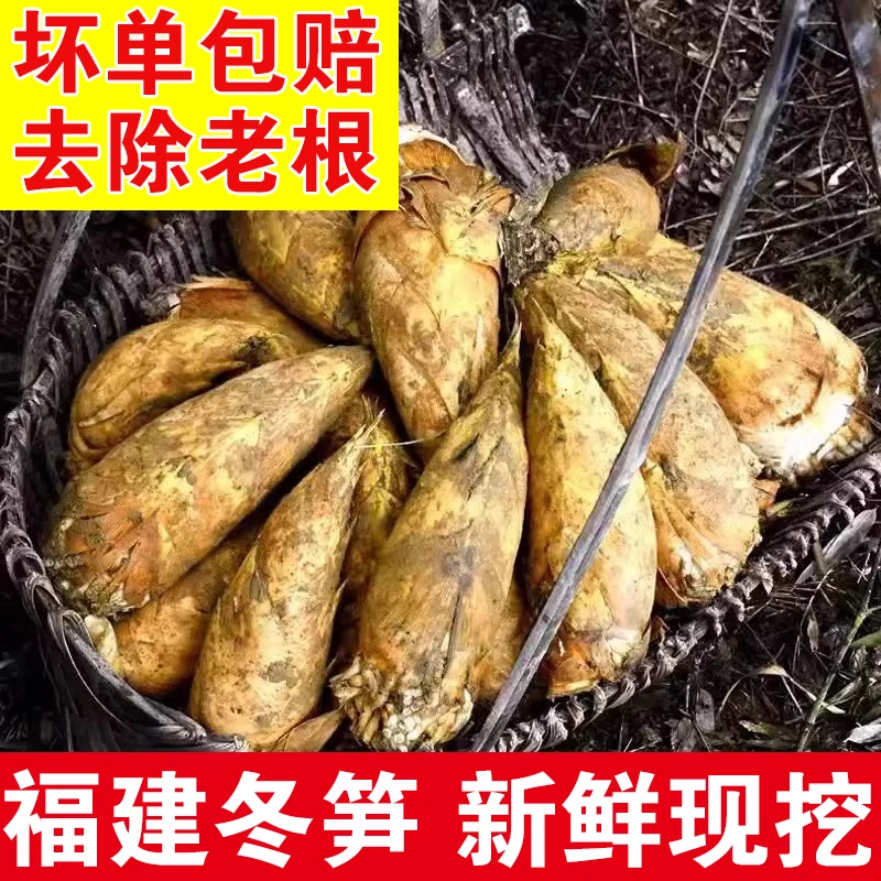 【福建冬笋】新鲜冬笋现挖春笋毛竹笋黄泥笋农产品时令脆嫩高山笋
