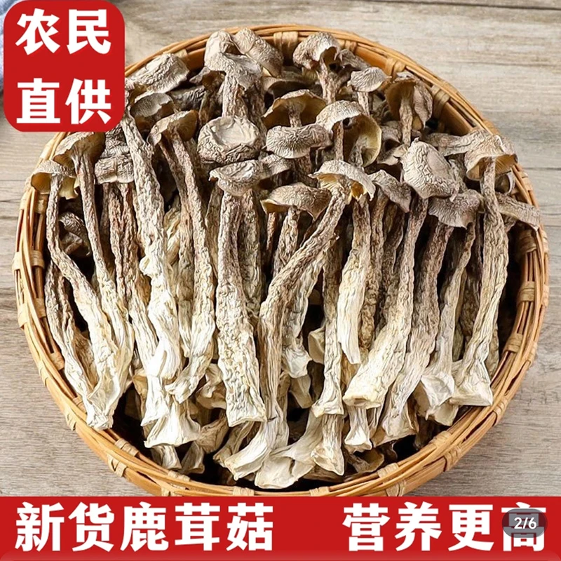 【新货】鹿茸菇干货脆脆菇鹿茸菇菌菇煲汤炖汤食材500g/20g农家新货