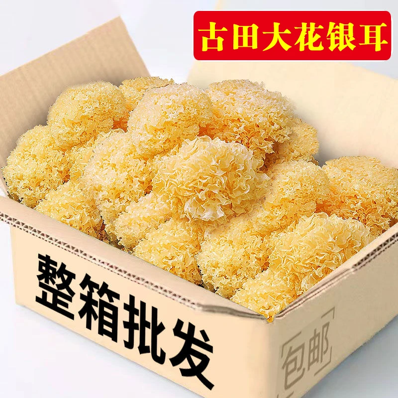 【农家特产】古田大花银耳500g出胶软糯白木耳雪耳莲子新货2朵甄选