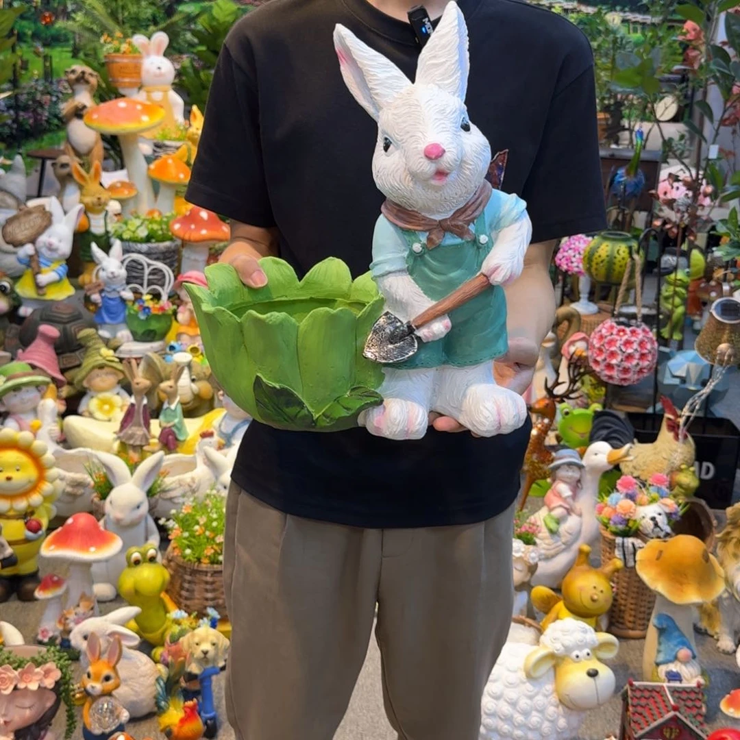 红陶20CM（含）-50CM（不含）