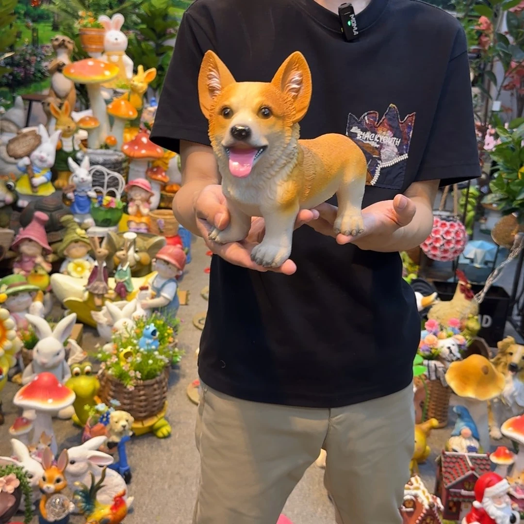 红陶20CM（含）-50CM（不含）