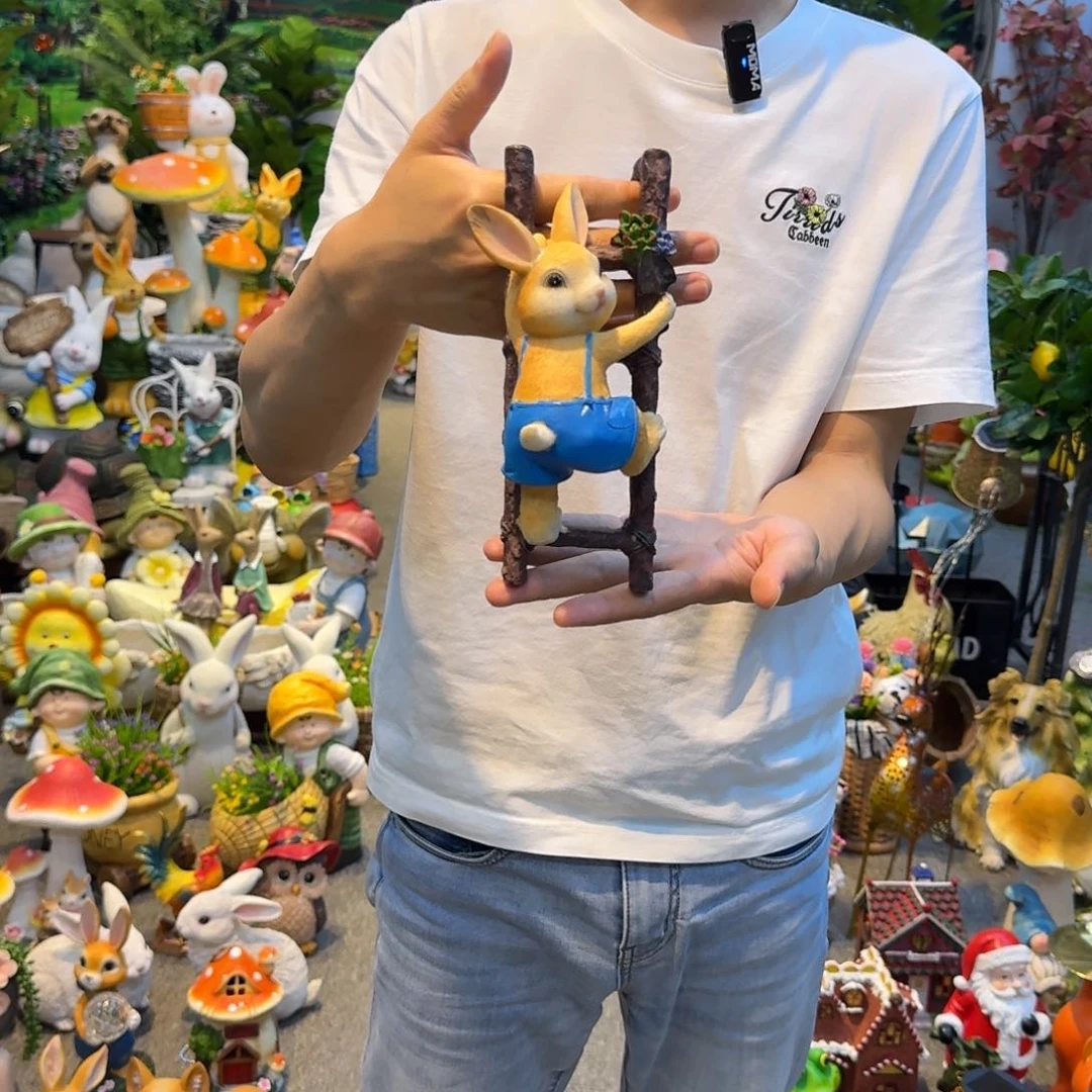 红陶20CM（含）-50CM（不含）
