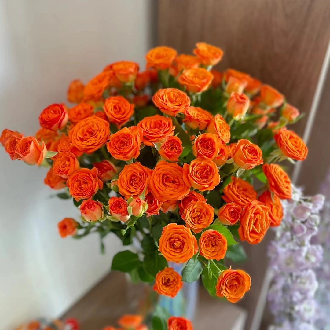 （全店3单发）橙芭比多头泡泡玫瑰10枝  《慕之春2号店》