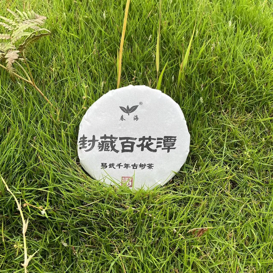 春海珍藏百花潭易武千年古树普洱生茶200g/饼 生