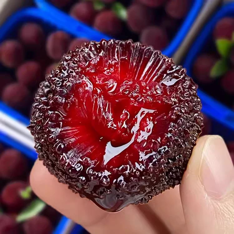 精选浙江仙居东魁杨梅水果整箱冷链顺丰包邮夏日尝鲜