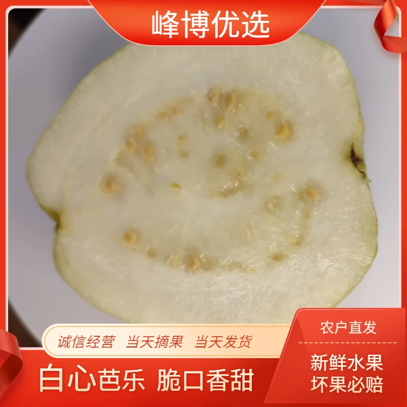 广西白心老树芭乐番石榴现摘水果净重1斤3斤5斤9斤优品脆口香甜爽