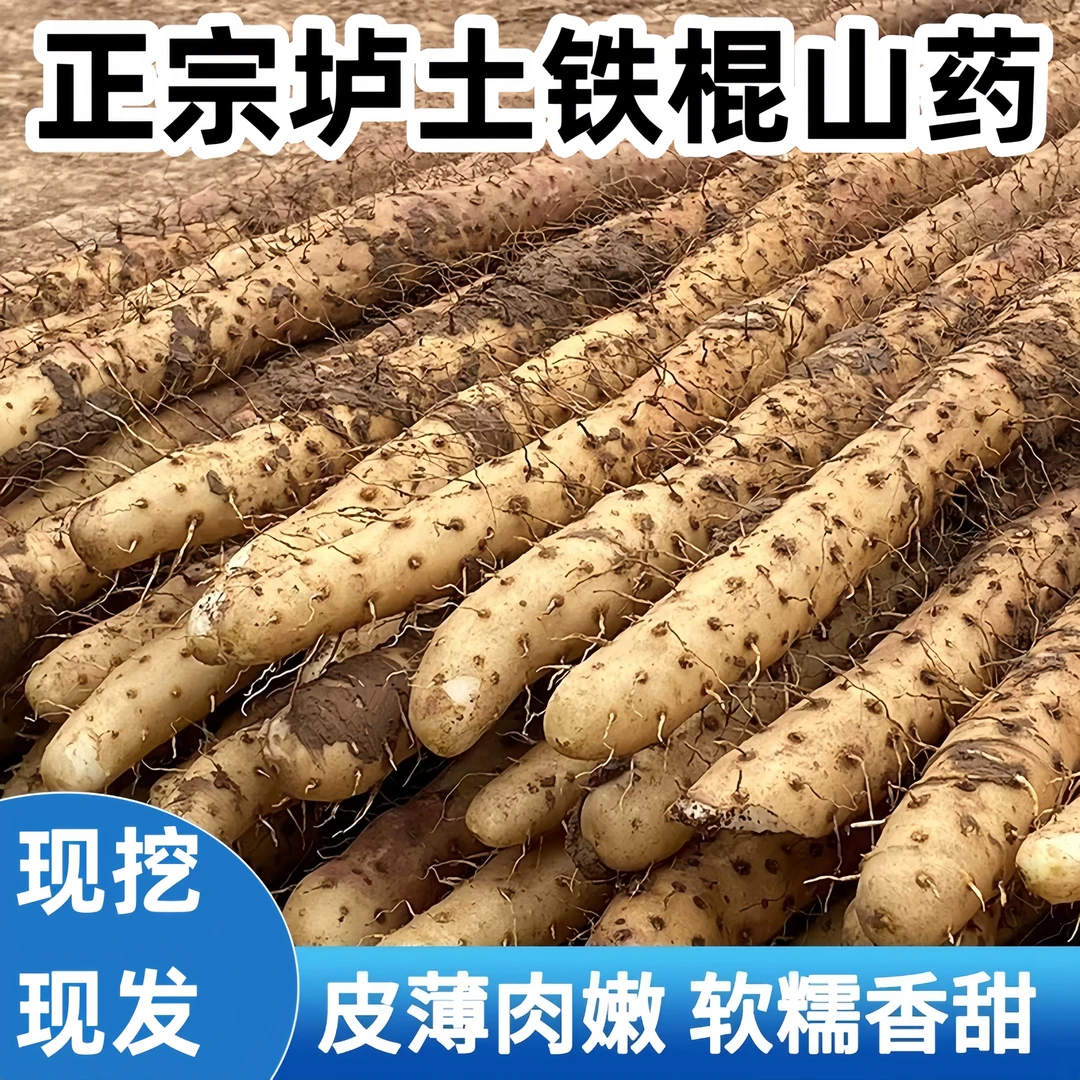 【去细尖发整根】正宗垆土铁棍山药粉糯薄皮精选品质现挖现发产地直