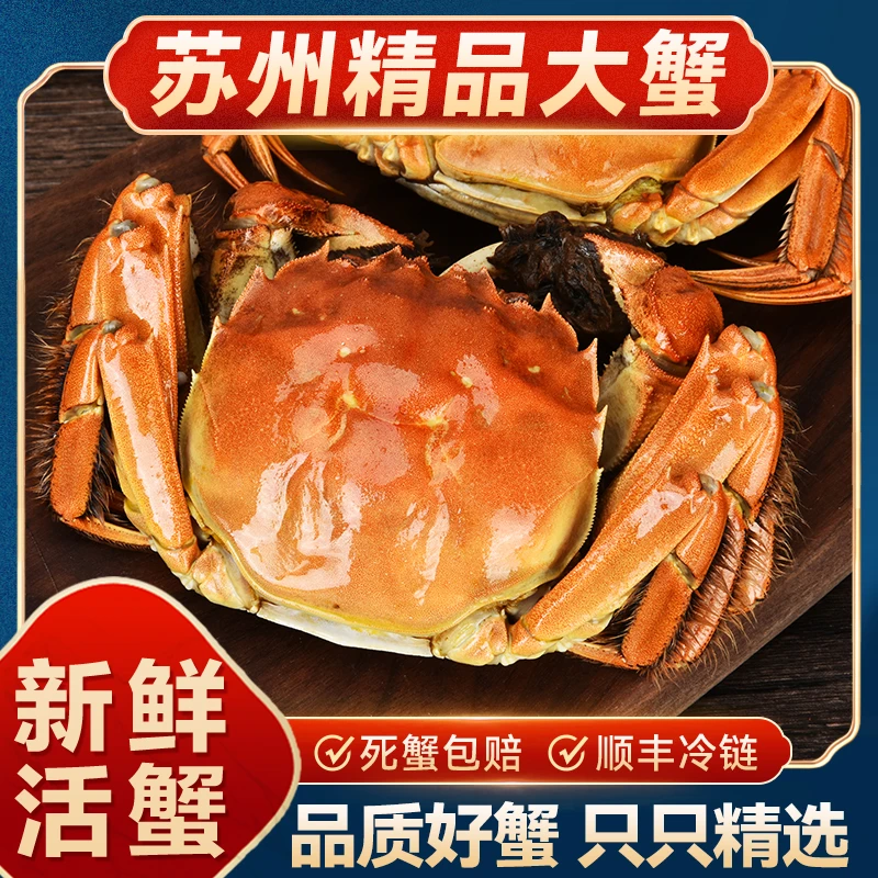 秋味欢苏州精品鲜活大闸蟹鲜活螃蟹全母蟹2.8-3.1两*10只装