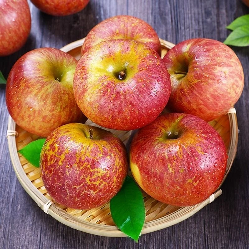 四川大凉山 盐源苹果 脆甜多汁 核小肉脆/4.5-5斤  xbh