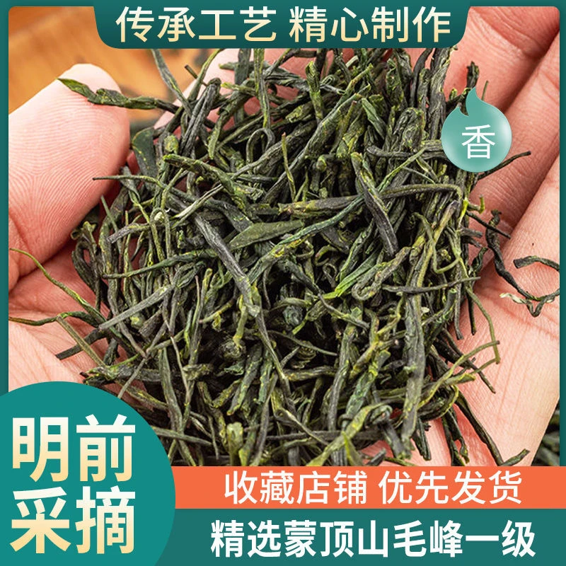 井中月2023新茶明前毛峰绿茶高山云雾茶叶四川蒙顶山浓香型散装