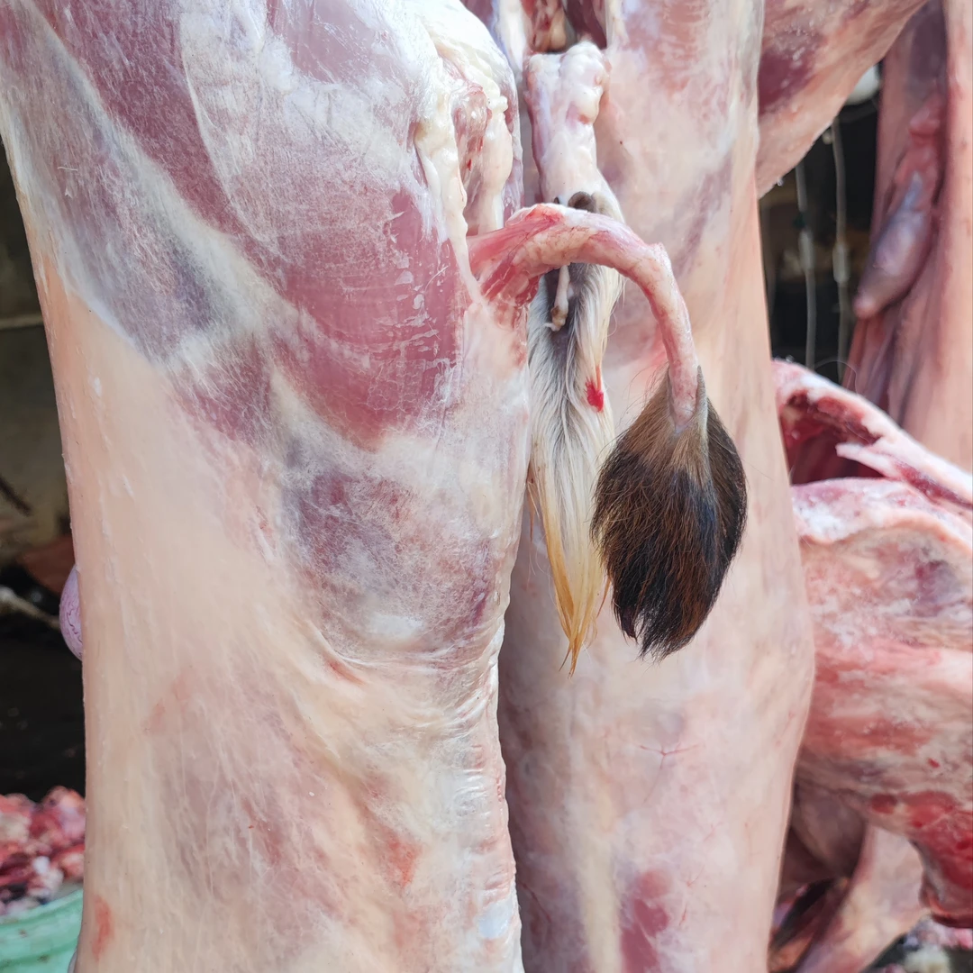 云南黑山羊烤全羊整羊切块xx%腿排/12斤/16斤/20斤