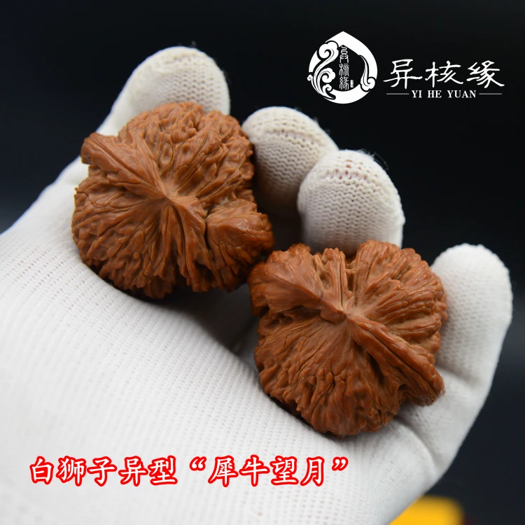 异核缘异核缘一物一拍全品无修原生态异型文玩核桃白狮子犀牛望月