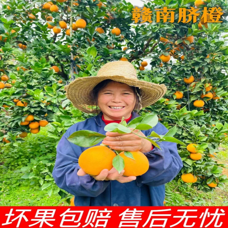 L正宗赣南脐橙新鲜橙子鲜甜皮薄天然酸甜原产地快递现发阳光细腻