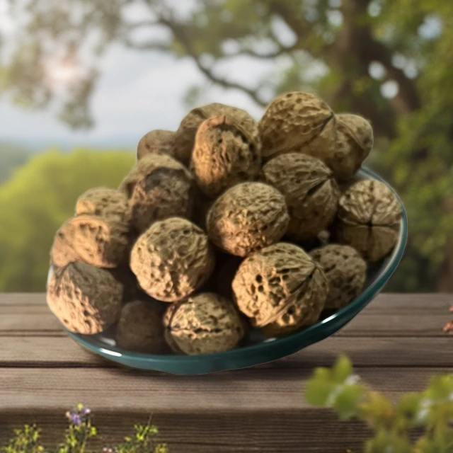 鹤庆县六合乡深山核桃自然生长自然晒干