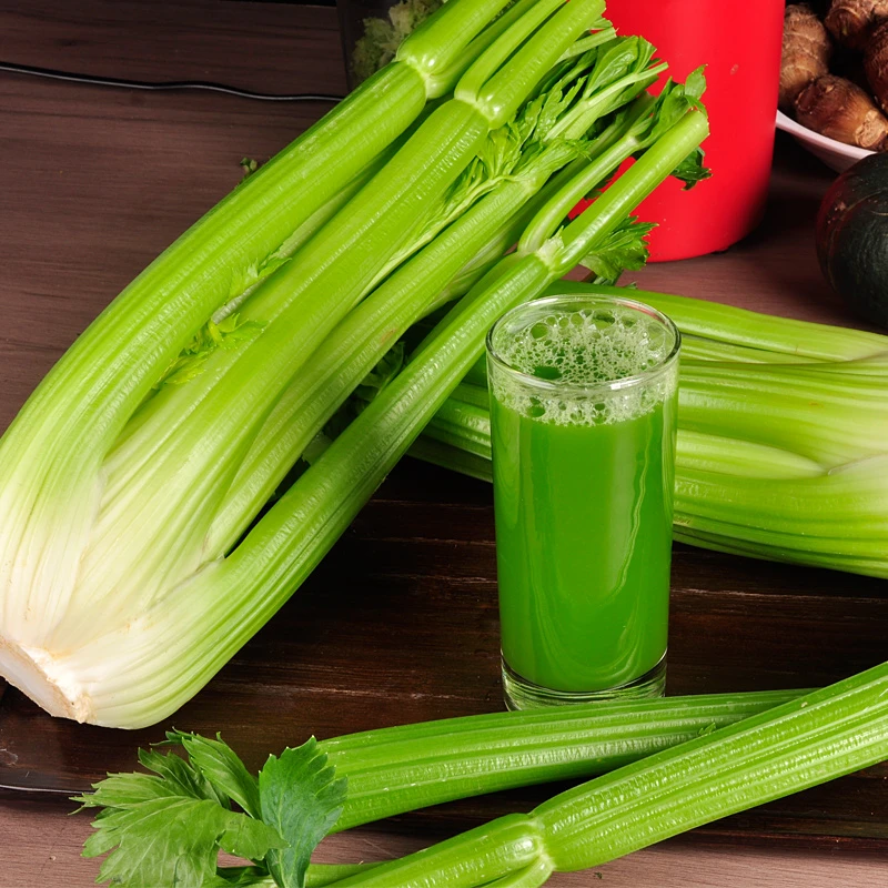山东新鲜西芹榨汁专用芹菜去叶大棵西芹脆嫩出汁率高产地直发