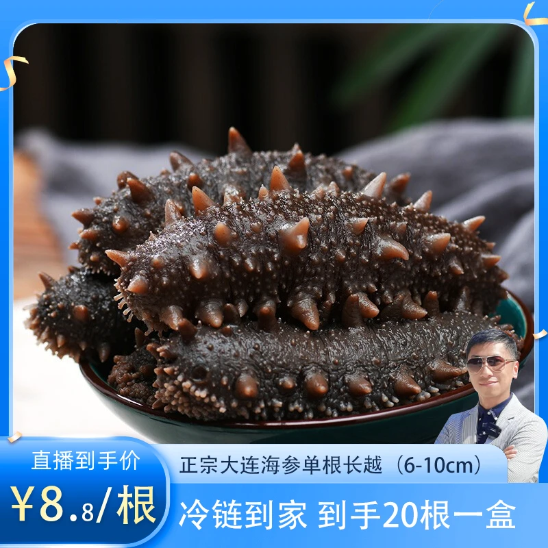 大连海参约6-10cm  7A精选辽刺参 500g/盒20根开袋即食一根20-25g