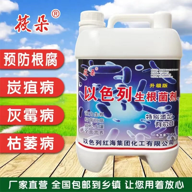 以色列生根菌剂 作物通用桶装水溶肥 生根养根调理土壤冲施滴灌