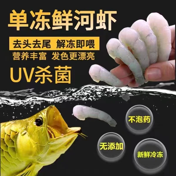 新鲜冷冻河虾龙鱼饲料解冻即喂发色更漂亮