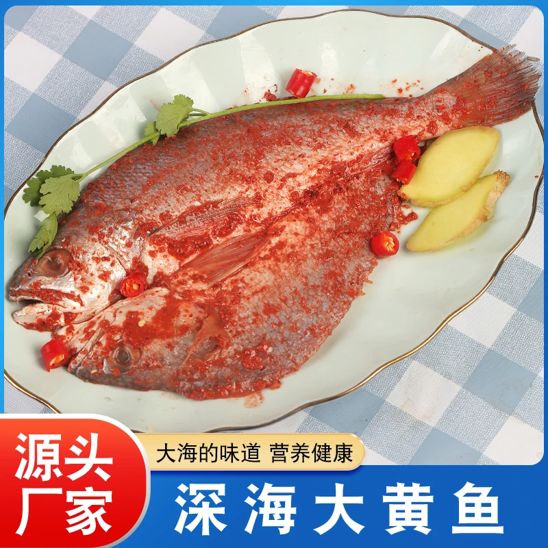 酒糟鱼大黄鱼福建霞浦特产冷冻咸香腌制黄花鱼鲞红糟鱼鲜嫩美味