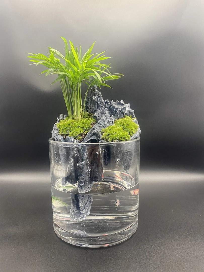 倒悬山-小椰子养鱼创意微景观苔藓微景观