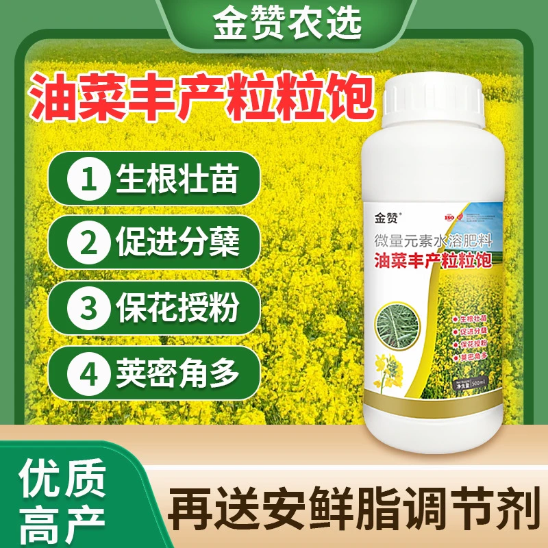 （多丰收）油菜丰产粒粒饱生根壮苗抗寒抗冻花多荚多籽粒饱满