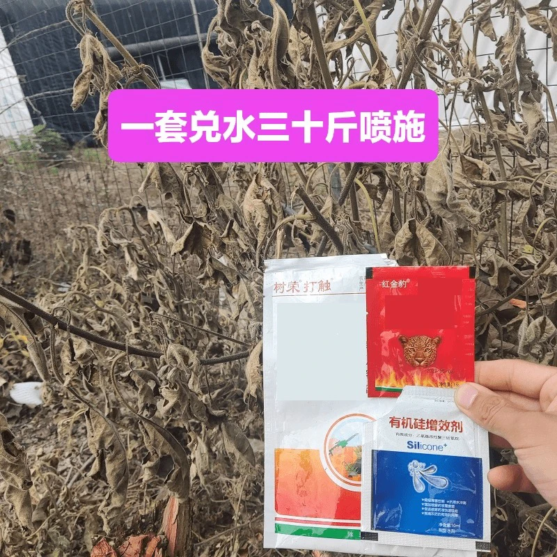 【多丰收】构树杂灌搭配有机硅