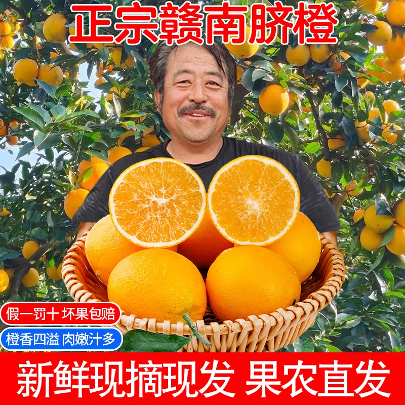 【汤圆专属】赣州脐橙子赣南脐橙子新鲜批发江西赣南脐橙产地直发