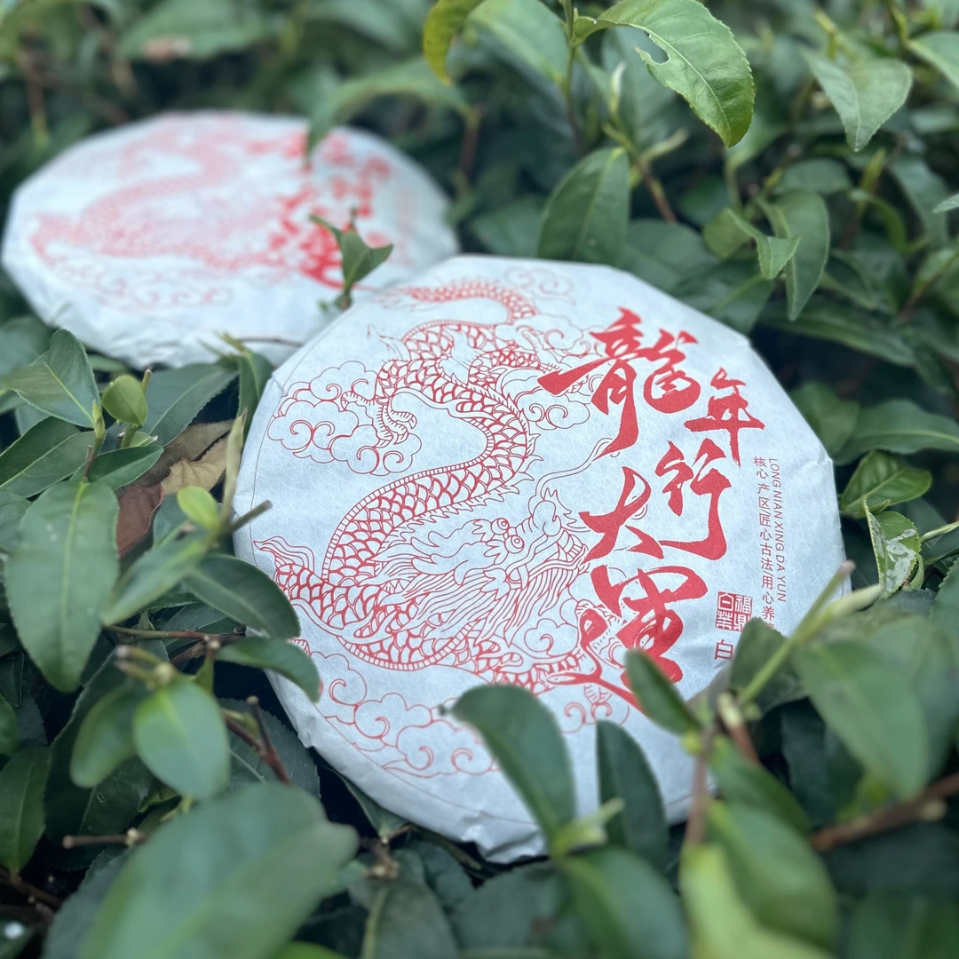 2019花香白牡丹茶饼300克一饼茶厂直销