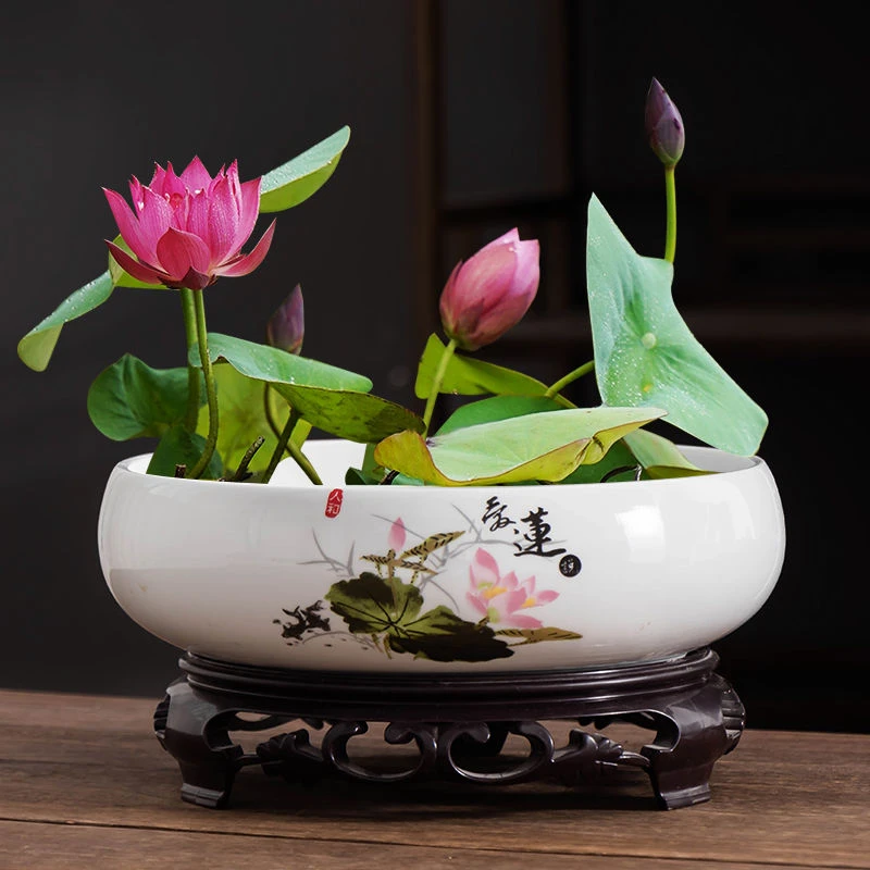 简约无孔陶瓷水仙花盆铜钱草专用盆水培富贵竹碗莲大口径家用器皿