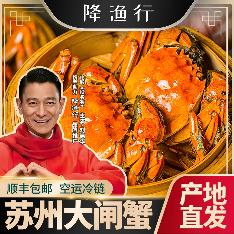 苏州大闸蟹 5两公+4两母共8只 礼盒装降渔行