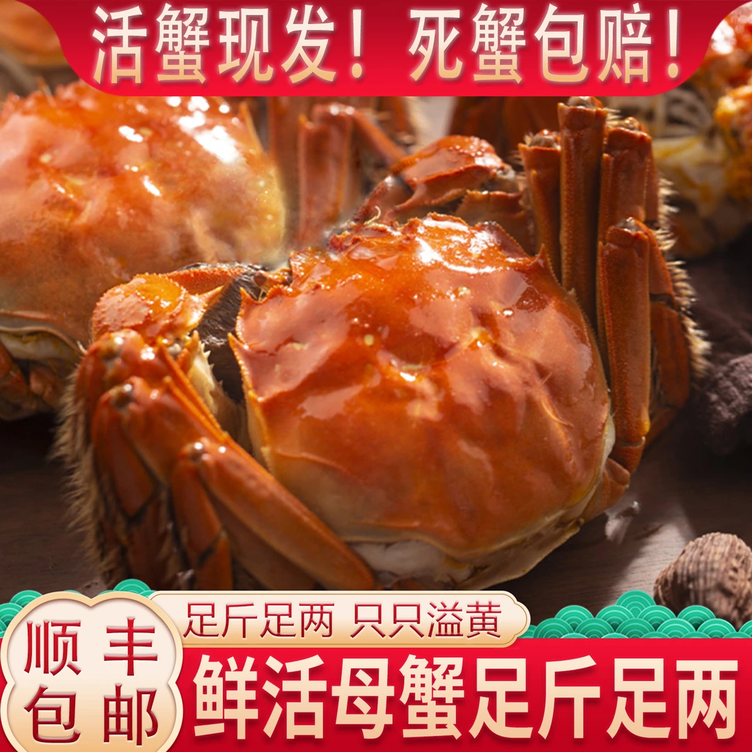 【活蟹】母蟹 4.0两8+2只精品大闸蟹固城湖成熟蟹礼佳品顺丰包邮T10
