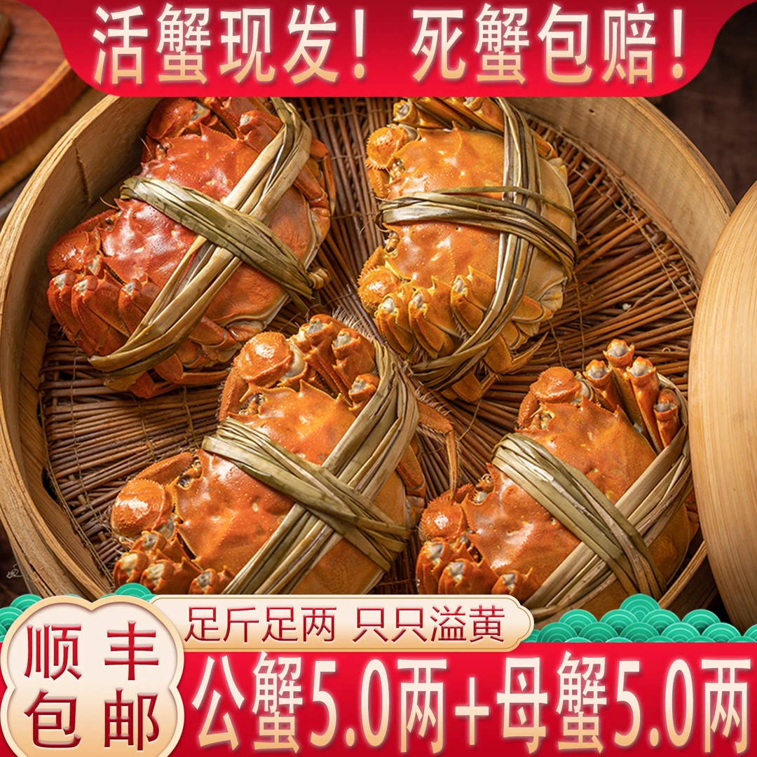 【活蟹】公5.0两+母5.0两【公母搭配】【爆黄】8只 精品固城湖大闸蟹tT8